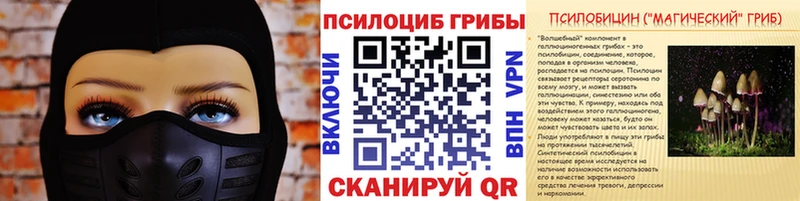 Псилоцибиновые грибы Cubensis  Купить где  Таруса 